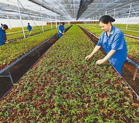 山西省农业产业化经营和农产品品牌战略研究