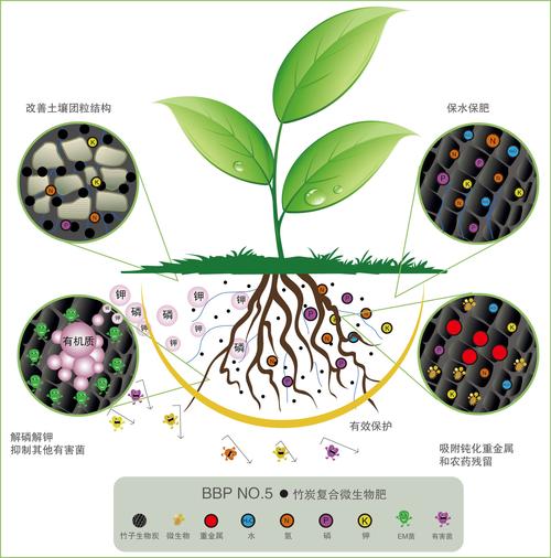厂家直销竹炭复合微生物肥料蔬菜水果花卉通用氮磷钾缓释颗粒菌肥